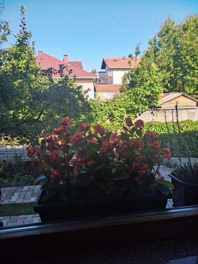 Apartman Hujic Apartment *