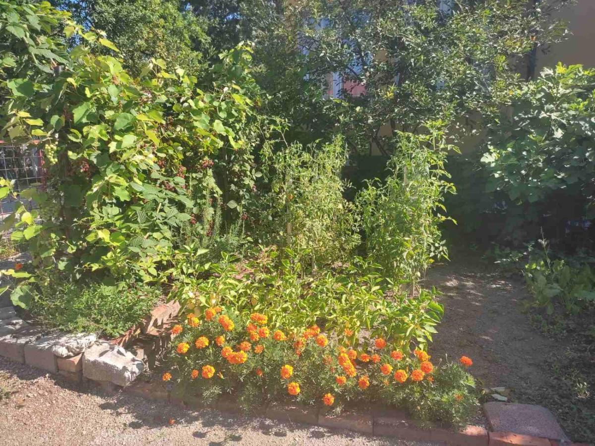 Apartment Apartman Hujic Bihac
